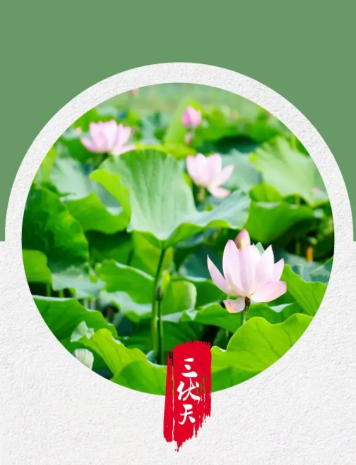 三伏天的成因,寓意,及习俗(关于三伏天的知识)