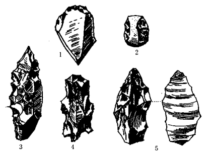 “新智人”的体质怎么样？现代人的头骨是在哪段时间出现特征的？