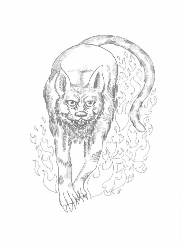 “类”是什么动物？“类”有什么药用价值？