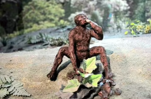 原始社会的划分依据是什么？|有几种划分方式？