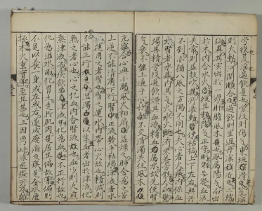 海外馆藏罕见珍品中医古籍《医真天机》