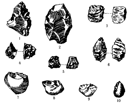 “新智人”的体质怎么样？现代人的头骨是在哪段时间出现特征的？