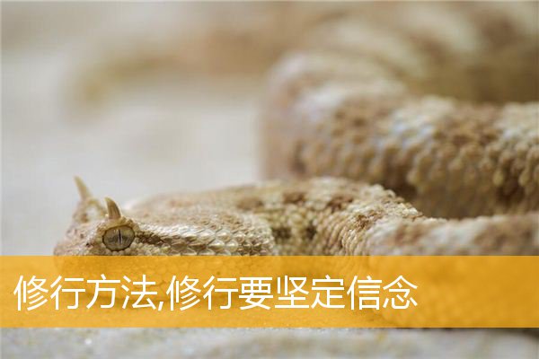 4bef99467c140c88eef9b45ba2d8b091 修行方法,修行要坚定信念