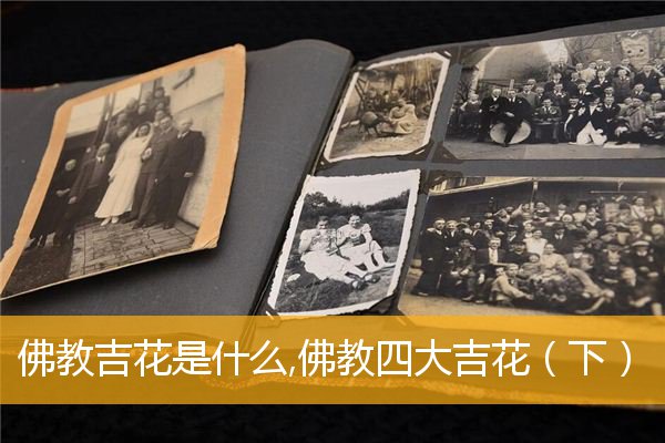 佛教吉花是什么,佛教四大吉花（下）