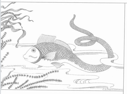 《山海经》记载了哪些奇特的药物？