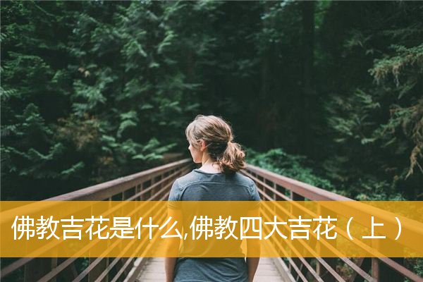 佛教吉花是什么,佛教四大吉花（上）