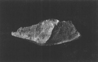 早期中国原始人类有哪些|中国猿人是哪四种？