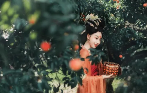 杨贵妃吃的荔枝是哪里产的？|杨贵妃吃的是新鲜荔枝吗？