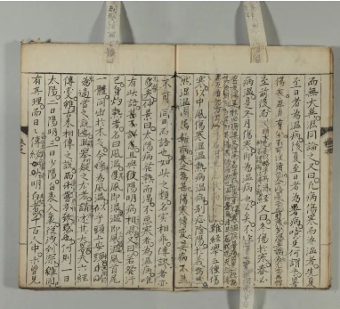 海外馆藏罕见珍品中医古籍《医真天机》