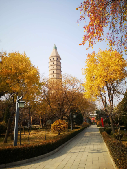 凤凰城的西塔传说