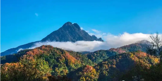 黎族的民族传说|五指山的故事