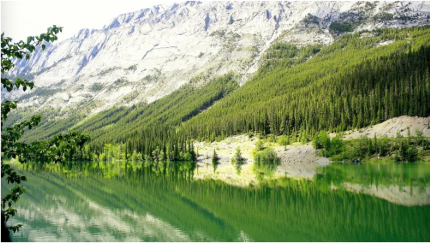 哈萨克族民间传说——天山绿林