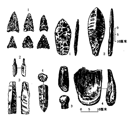 北方草原地带的细石器文化与游牧经济|父系氏族社会经济的发展
