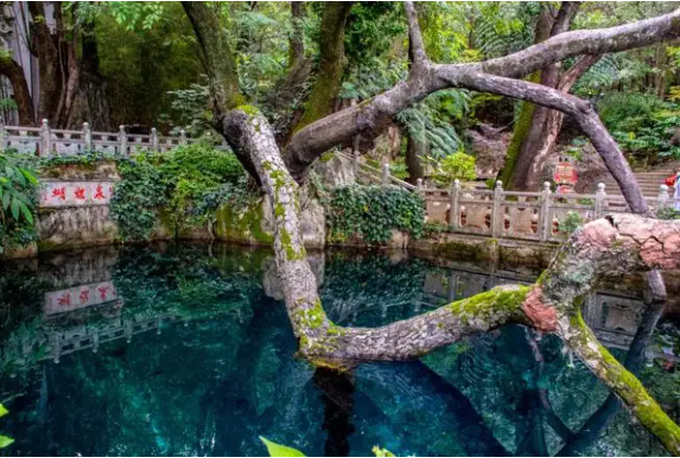 efe84dd04de446d6f638bbe19ef7ea85 白族民间传说|蝴蝶泉的故事