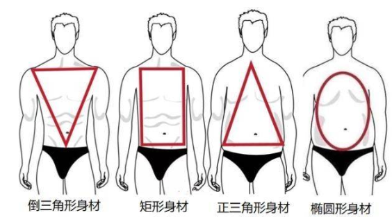 文章标题-1 八字看人的体型(怎么看自己是怎么样的体型?)
