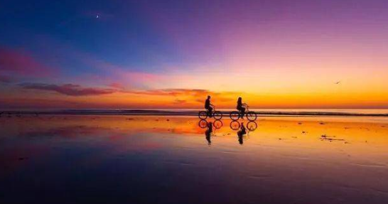 现代人为什么忠诚度较低？（为什么忠诚离我们）