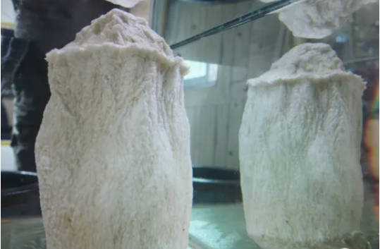 太岁应该怎么拜？（怎么正确的拜太岁？）