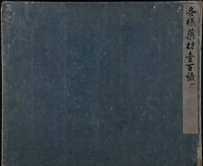 68ed8fe17fbe936461471a34e450ab45 罕见珍版一千二百多幅中药画册古籍《各样药材图册》十二册全集