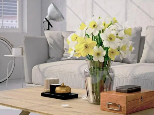 卧室绿植摆放有什么讲究？（卧室花卉怎么摆放风水比较好？）