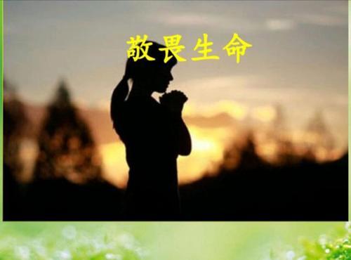 自身的风水怎么养？（十招养好自身的运势）