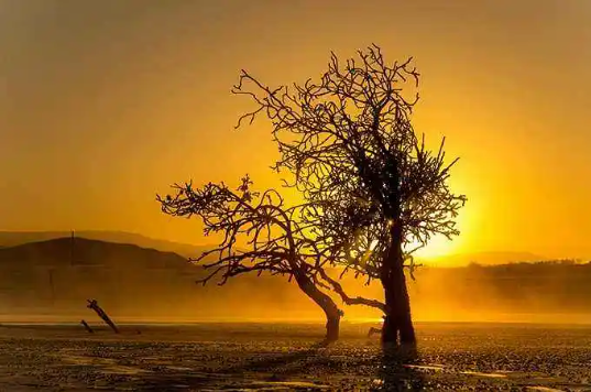 a56494757400bb1a0fe1f91f16000689 命运行运与流年怎么区分?(怎么区分命局行运与流年的喜忌)