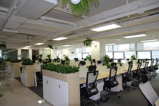 怎么看命格里会不会有办公室恋情？（ 你会有办公室爱情吗？快看看你的指数有多高吧？ ）