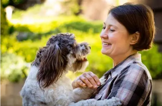 养宠物有什么风水讲究？（怎么判断自己适不适合养宠物？）