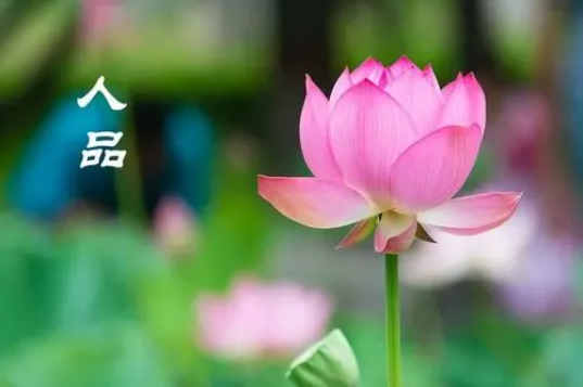 如何透过八字预知人品？（人品可以通过八字看吗？）