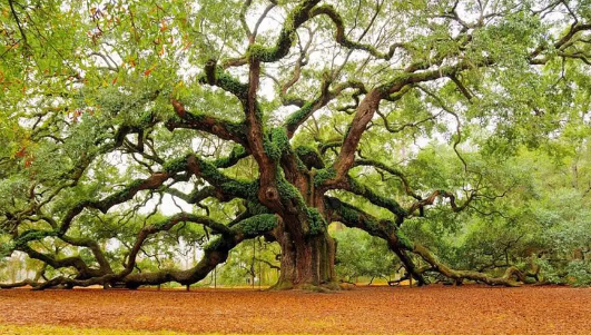窗外不适合有什么风景？（开窗五不见是哪五不见？）