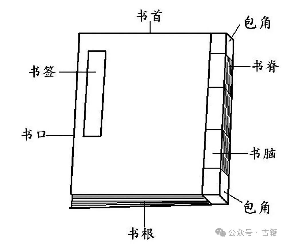 文章标题-2 古籍与版本