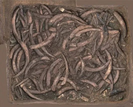 三星堆“网红”文物 简报出了