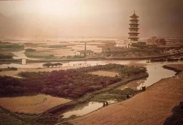 文章标题-2 时隔60年,再见白象塔:活字印刷《佛说观无量寿佛经》残页揭秘