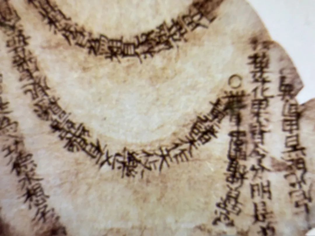 文章标题-3 时隔60年,再见白象塔:活字印刷《佛说观无量寿佛经》残页揭秘