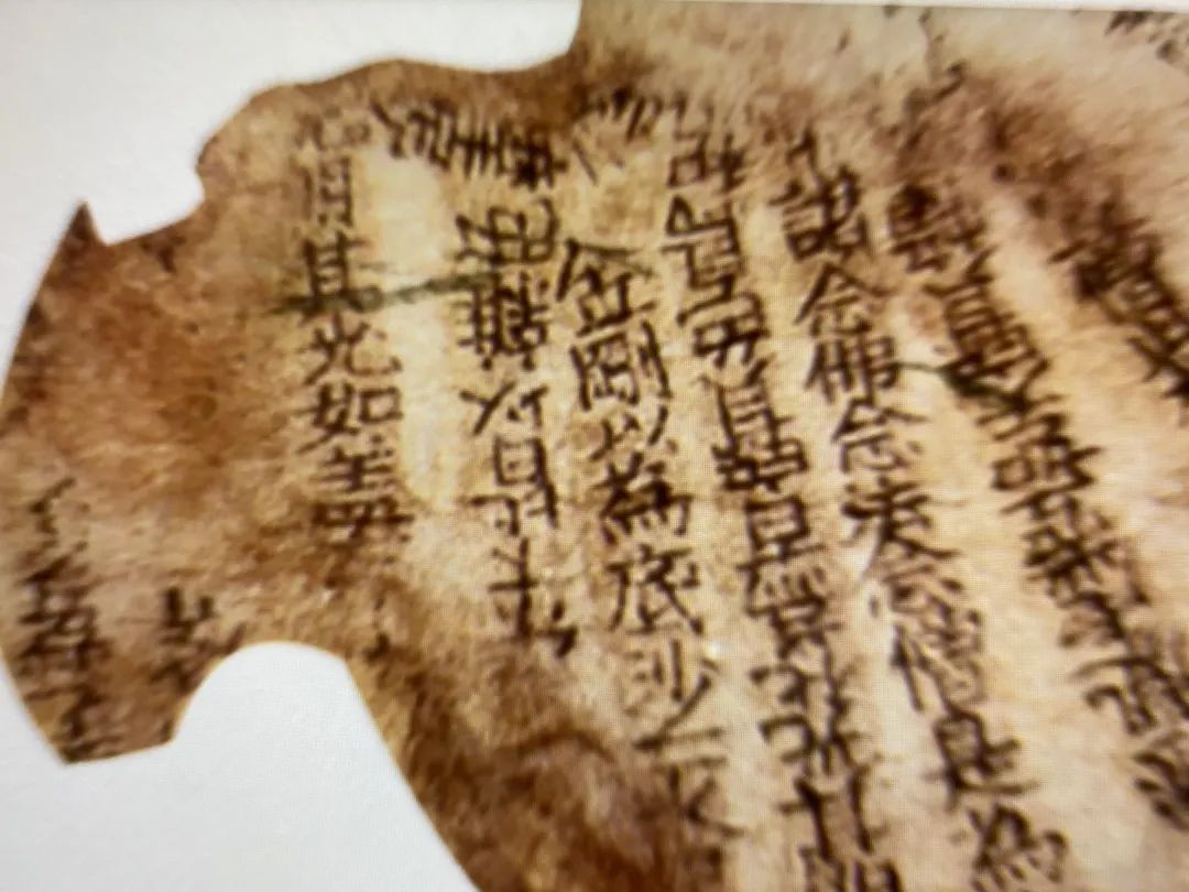 文章标题-4 时隔60年,再见白象塔:活字印刷《佛说观无量寿佛经》残页揭秘