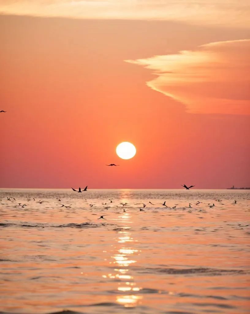 从离卦的角度看，2024 年，这3类人将有十年以上的好运气！