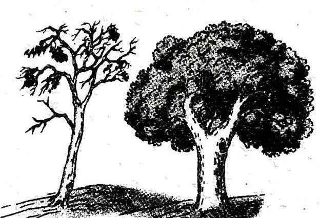 风水图文，形象直观。