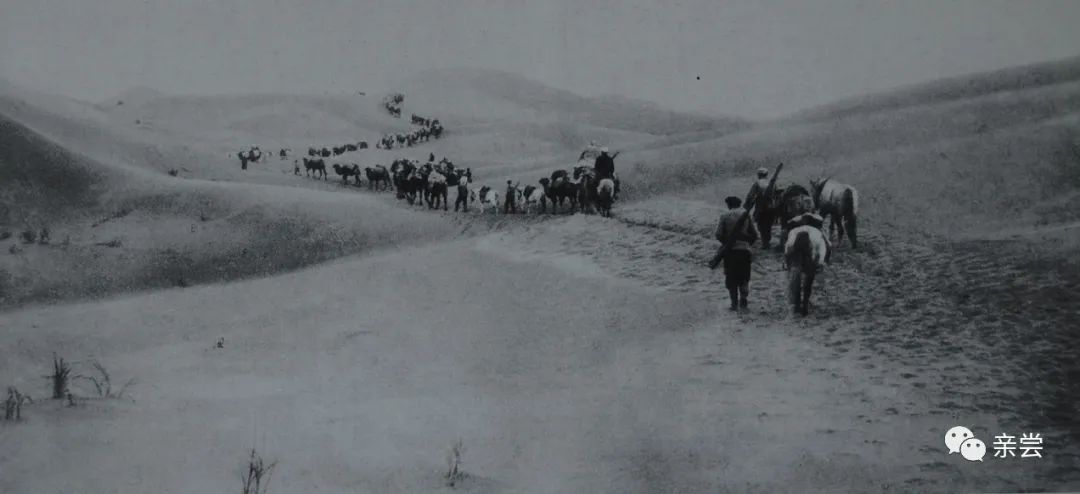 黑水城的千年宝藏