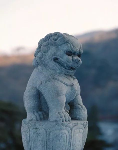 古人为什么会在门口放两尊石狮子？原来还有预卜功能！