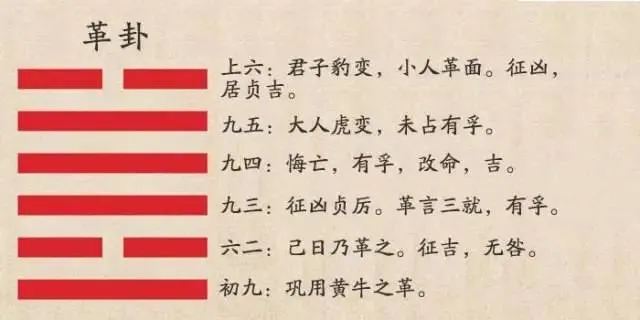 2025旺自己建议：九运第二年，转气运养磁场