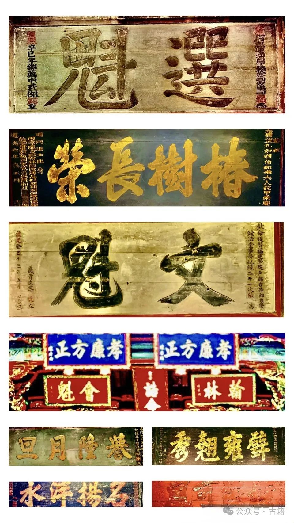 细说「姓氏」与「堂号」