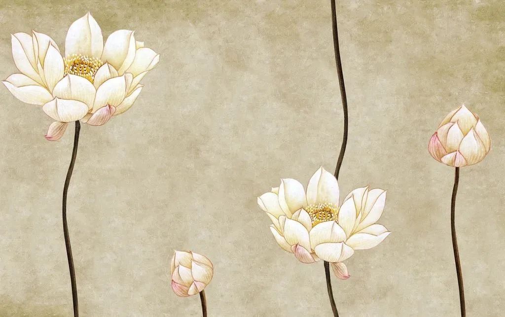 什么样的八字组合会有名气？