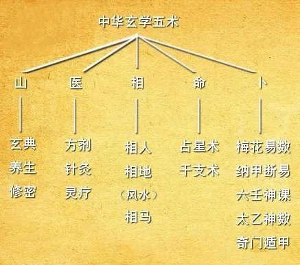 什么是道家五术？