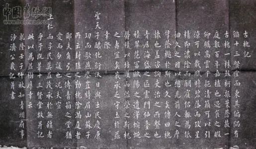 什么是道家五术？