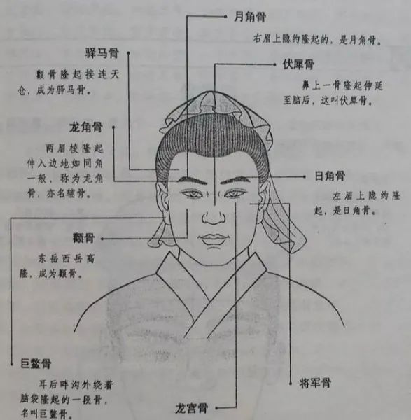 “头生九龙骨，早晚必显贵！”九龙骨是种什么面相？