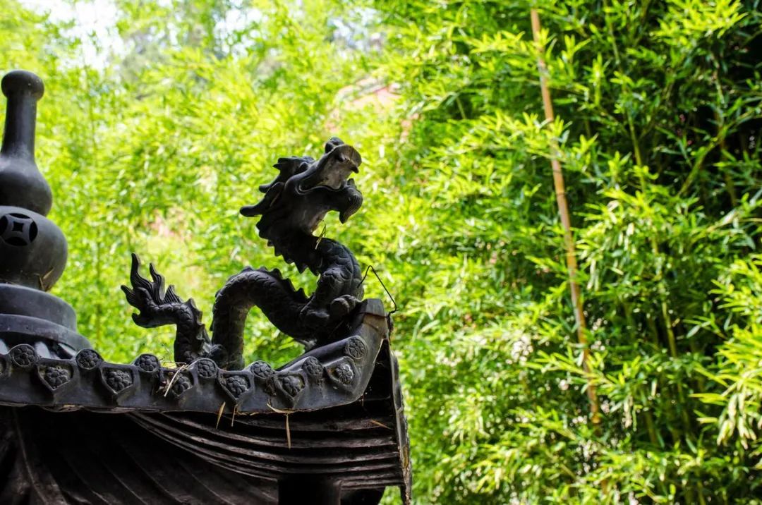 为什么说“家开青龙门，赛过祖宗坟”？