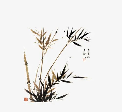 为何与马云八字相同的人很少？