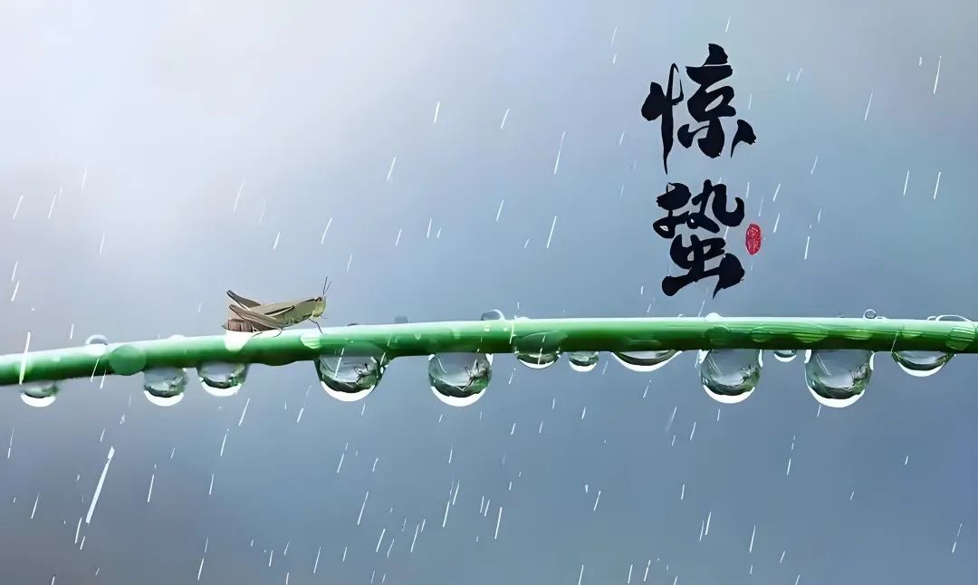 文章标题-3 五行玄机:为什么未时是地震高发时刻?