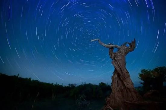 五行平衡的人，是否就天生好命？