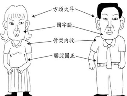 五行面相学，你是哪种体型？