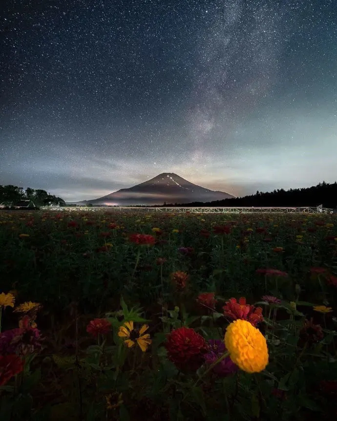 文章标题-3 海德格尔:哲学的终结与思的任务